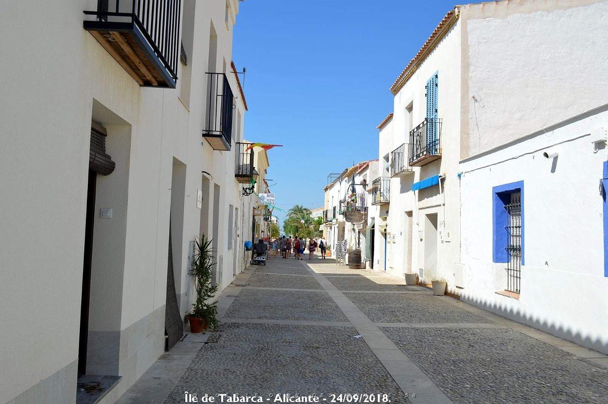 21 ALICANTE L ILE DE TABARCA (93).JPG